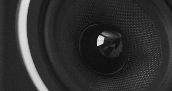 ZX7 Speaker detail