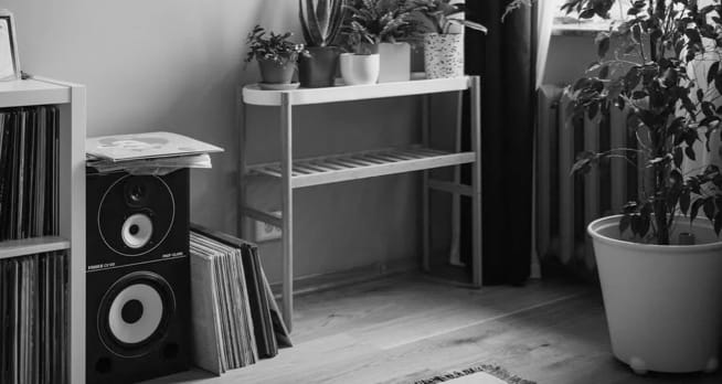 ZX9 Speaker in use
